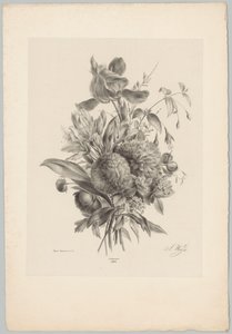 Szegfű és liliomok Flower and Fruit Studies (...) 10. epizód (sorozat címe) alkotó: Anton Weiss