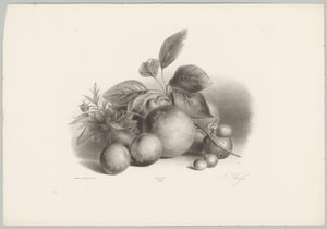Virágok, nektarin és mogyoró Flower and Fruit Studies (...) 10. epizód (sorozat címe) alkotó: Anton Weiss