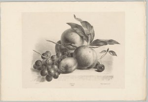 Szőlő, szilva, őszibarack és cseresznye Flower and Fruit Studies (...) 10. epizód (sorozat címe) alkotó: Anton Weiss