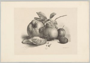 Gyümölcs, szilva és osztriga Flower and Fruit Studies (...) 10. epizód (sorozat címe) alkotó: Anton Weiss