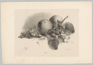 Őszibarack, bogyós gyümölcsök, mogyoró és szeder Flower and Fruit Studies (...) 10. epizód (sorozat címe) alkotó: Anton Weiss