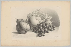 Sütőtök, bogyók, szőlő és őszibarack Flower and Fruit Studies (...) 3. epizód (sorozat címe)