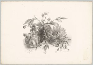 Rózsák, dáliák és fukszia Flower and Fruit Studies (...) 10. epizód (sorozat címe)