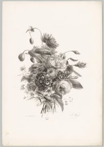 Rózsák és egyéb virágok Flower and Fruit Studies (...) 10. epizód (sorozat címe) alkotó: Anton Weiss