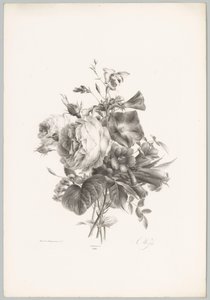 Rózsák és kehely alakú virágok Flower and Fruit Studies (...) 10. epizód (sorozat címe) alkotó: Anton Weiss
