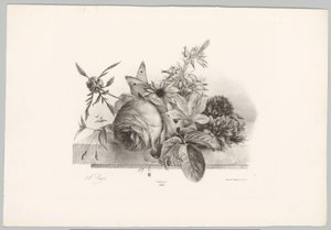 Rózsák, liliomok, harang alakú virágok és pillangó Flower and Fruit Studies (...) 10. epizód (sorozat címe) alkotó: Anton Weiss