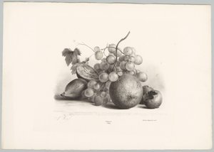 Füge, szőlő és narancs Flower and Fruit Studies (...) 10. epizód (sorozat címe) alkotó: Anton Weiss