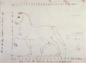 Tanulmány lónak lovas emlékműhöz (rajz alkotó: Antonio Canova