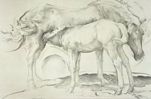 Horses at Coolmore, 1990 (szén papíron)