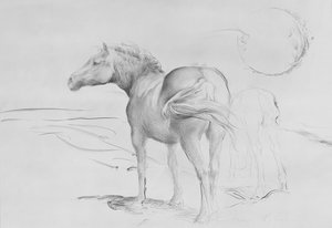 Horses at Coolmore, 1990 (szén papíron)