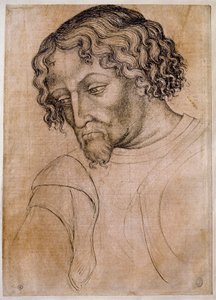 Szakállas férfi mellszobra, háromnegyed feje balra dől. Antonio di Puccio Pisano dit Pisanello (1395-1455) műhely rajza. Toll (rajz), vér. Mérete: 28x20 cm. Louvre, rajzoló cég alkotó: Antonio Pisanello
