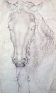 Egy ló feje alkotó: Antonio Pisanello