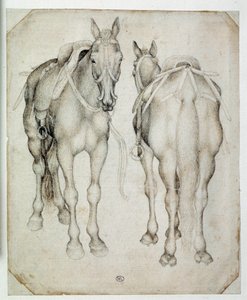 Két heveder, háromnegyedből nézve, az egyik elölről, a másik hátulról. Pisano Antonio di Puccio dit Pisanello (1395-1455) rajza alkotó: Antonio Pisanello