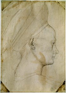 Fiatal nő feje, profilban jobbra. Antonio di Puccio Pisano dit Pisanello (1395-1455) műhelyének rajza. Barna tinta, fekete kő, toll. Mérete: 24,6x17,2 cm. Louvre, Cabinet des dessins. alkotó: Antonio Pisanello