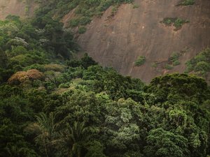 Corcovado XV, 2020 (digitális fényképezés) alkotó: Antonio Schubert