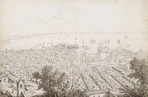 Panorámás kilátás Nápolyra alkotó: Antonio Senape