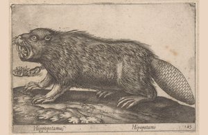 Ital Víziló (cím a tárgyon) Dieren en fablewezens (sorozat címe) Nova raccolta de li animali piu curiosi del mondo (sorozat címe)