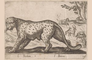 Párduc L Panthera/ I Panthera (cím a tárgyon) Dieren en fablewezens (sorozat címe) Új kollekció a világ legkíváncsibb állataiból (sorozat címe) alkotó: Antonio Tempesta