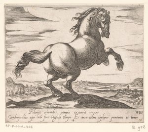 Steigerend paard naar rechts gewend Paarden uit verschiedelden landen (sorozat címe) Ezekkel a vezetőkkel viroru szájú vezetőként fognak ünnepelni. alkotó: Antonio Tempesta