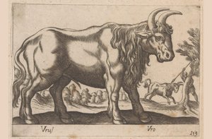 Bika Vrus/ Vro (cím az objektumon) Dieren en fablewezens (sorozat címe) Új kollekció a világ legkíváncsibb állataiból (sorozat címe) alkotó: Antonio Tempesta