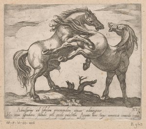 Twee parende paarden Paarden uit verschiedelde landen (sorozat címe) Ezekkel a vezetőkkel viroru szájú vezetőként fognak ünnepelni.