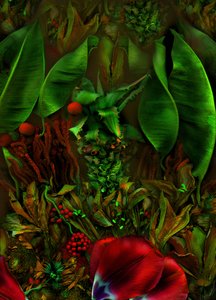  alkotó: Antonius Antonius