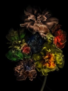  alkotó: Antonius Antonius