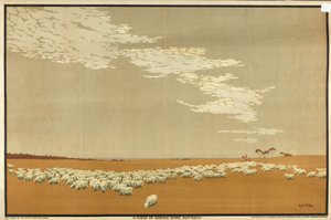 Merinói juhnyáj – Ausztrália, „Ausztrália búza és gyapjú gazdagsága” sorozatból (színes litho)