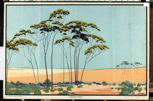 Ausztrál búza, az „Australia