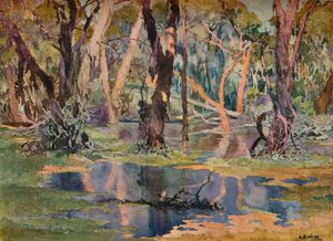 "Quindanning Pool", 1927