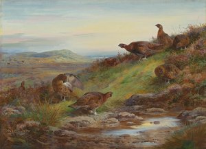 Vörösfajd-öböl egy forrás mellett alkotó: Archibald Thorburn