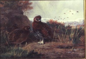 Cerkenyek a téli tájban alkotó: Archibald Thorburn