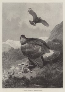 Felvidéki orvvadászok alkotó: Archibald Thorburn