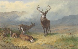 A Glen uralkodója alkotó: Archibald Thorburn