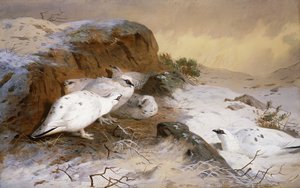 Ptarmigan a hóban alkotó: Archibald Thorburn
