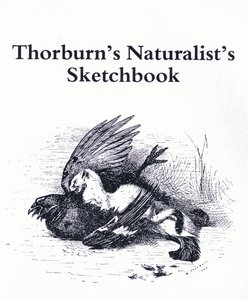 Címlap (Stoat és Gamebird), kocsma. a Book Club Associates által alkotó: Archibald Thorburn