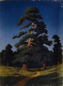 Fenyőfa alkotó: Arkhip Ivanovich Kuindzhi