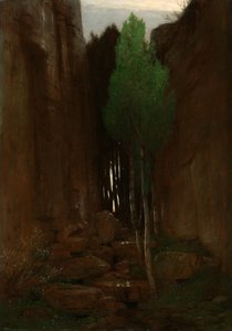 Spring in a Narrow Gorge (Forrás egy szűk szurdokban) alkotó: Arnold Böcklin