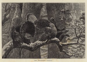 A diadalmas pulykák alkotó: Arthur Boyd Houghton