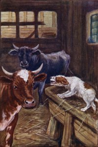 Ezópus meséi: A kutya a jászolban (színes litó)