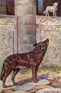 Aesopus meséi: A kölyök és a farkas (színes litó)