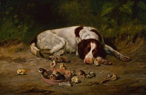 Jó Kutyus alkotó: Arthur Fitzwilliam Tait