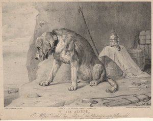 Az őrszem alkotó: Arthur Fitzwilliam Tait