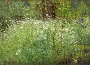 Ökörszem százszorszépek és íriszek, 1920 alkotó: Arthur Hacker