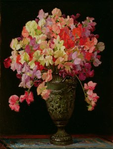 Sweetpeas, Summer Revelry, 1930 (tábla)