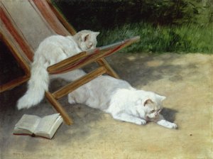 Két fehér perzsamacska egy katicával a nyugágy mellett