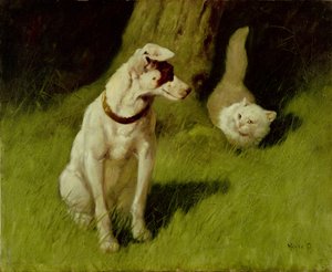 Fehér perzsa macska és Jack Russell