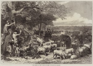 Párizs védelme, szarvasmarha és juh a Bois de Boulogne-ban
