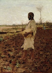 Egy egyiptomi magvető, 1881