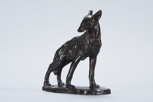 Alert Coyote (bronz)